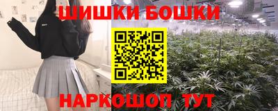 стафф Ставрополь