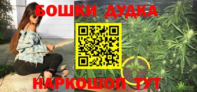 стафф Ставрополь